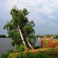 На реке перед дождём :: Андрей Снегерёв
