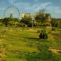 В парке :: Анатолий Чикчирный