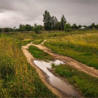 "По пути в Яндово. После дождя"© :: Владимир Макаров