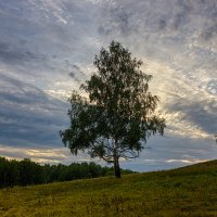 Здесь грустно и одиноко, путник :: Дмитрий Костоусов