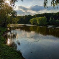 Ну, вот, хозяйку пруда побеспокоили :: Андрей Лукьянов