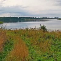 Пейзаж :: Ольга Довженко