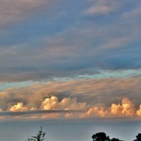 Небо облачные деревья нарисовало по утру. :: Восковых Анна Васильевна 