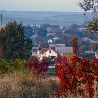 Осень на окраине городка. :: Светлана Фокша