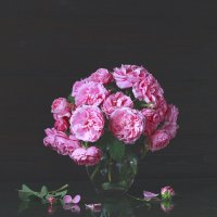 Розовые розы... :: Наталья Казанцева