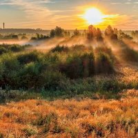 Свет рассвета.. :: Юрий Стародубцев