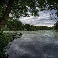 Зелёное озеро :: Николай Гирш