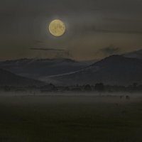 Ночь, луна и тишина... :: Георгий 