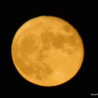 Луна во всей красе. :: Валерьян Запорожченко