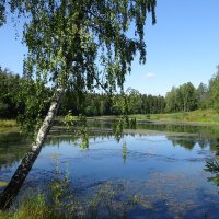 Пруд в Абрамцево. :: Татьяна 