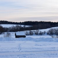 Московская область. Деревня Мураново. :: Наташа *****