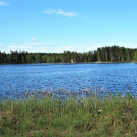 Смердье — пресное озеро на юге Приморского района . :: ЛЮДМИЛА 