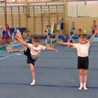 Молодые гимнасты :: Вера Щукина