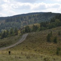 Путь на перевал Луговой. :: Андрей Хлопонин