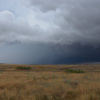 Перед грозой :: Наталья Дубровина