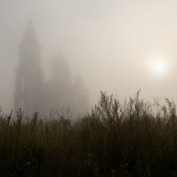 Погружение в туман. :: Марина Фомина.