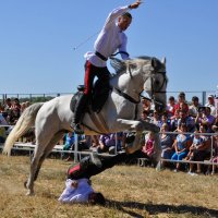 прыжок через препятствие :: Елена Ужва