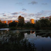 Вечер на пруду :: Андрей Лукьянов