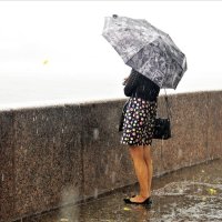 В Питере дождь... :: Евгений Яхим