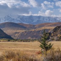 Северо-Чуйский хребет :: Виктор Четошников