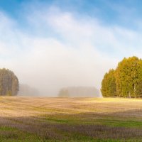 Утренний туман в сибирском лесу :: Владимир Деньгуб