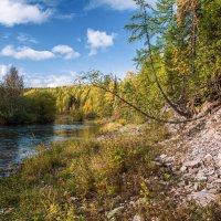 Осень на реке Чуть. Около 20 км от Ухты, Республика Коми :: Николай Зиновьев