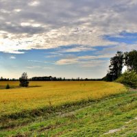 Осенний полдень. :: Восковых Анна Васильевна 