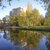 Осень в городе :: Нина Синица