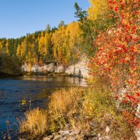 Очень красивая в этом году осень на таёжной реке Чуть. Около 20 км от Ухты, Республика Коми. :: Николай Зиновьев