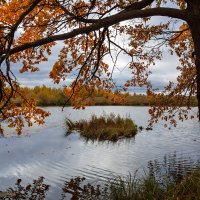 Пасмурная осень :: Александр Синдерёв