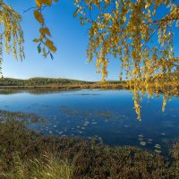 Осенняя панорама :: Vladimbormotov 