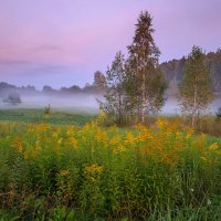 Вечерело :: Оксана 