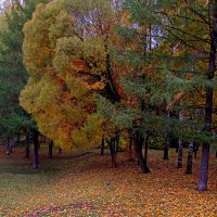 Осень в парке. :: Татаурова Лариса 