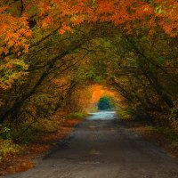 Осень в красках. :: leff Postnov
