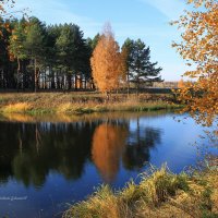 Осень, рыжая плутовка! :: Владимир Зеленцов
