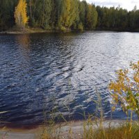 озеро в лесу :: Евгений Р