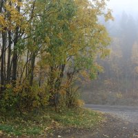 Осенний туман :: Ольга 