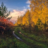 "Золотая осень. Колея"© :: Владимир Макаров