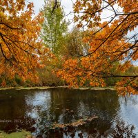 Осень над озером :: Александр Синдерёв