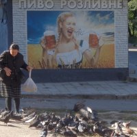 В любви к пиву и к голубям бесплатна только радость жизни!.. :: Alex Aro Aro Алексей Арошенко
