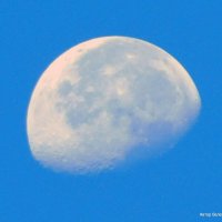 Убывающая луна в утренем небе. :: Валерьян Запорожченко
