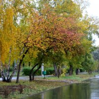 Осень в Омске :: Savayr 