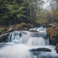 Одна секунда осени :: Александр К.