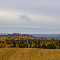 Осенний лес :: Александр Гладких