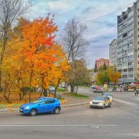 Осень :: Алексей Архипов