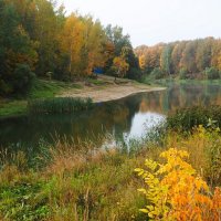 Озеро "Ряска". :: Милешкин Владимир Алексеевич 