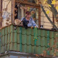 Половина семейства на маленьком балконе. :: Анатолий. Chesnavik.