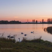Мирная идиллия на озере на закате дня.  (Снято на Minolta Dimage 7) :: Анатолий Клепешнёв
