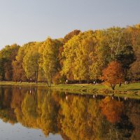 Осенний парк Кузьминки :: esadesign Егерев