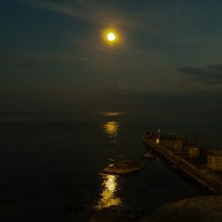 Луна и ночь в одном лице, вся красота лишь при луне! :: Yuri Chudnovetz